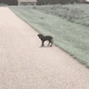 Meet your Posher, Logan